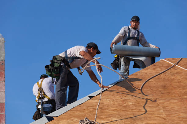Best Best Roofing Contractors  in North Utica, IL