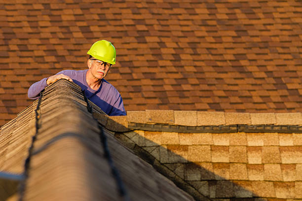 Best Gutter Installation and Roofing  in North Utica, IL