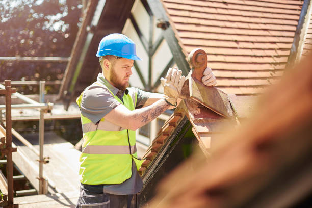 Professional Roofing Contractor in North Utica, IL