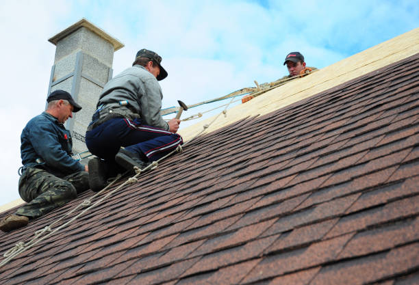 Quick and Trustworthy Emergency Roof Repair Services in North Utica, IL